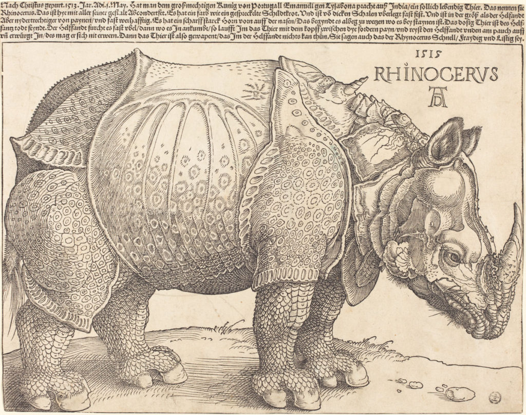 Durer Rhinoceros Printmaking
